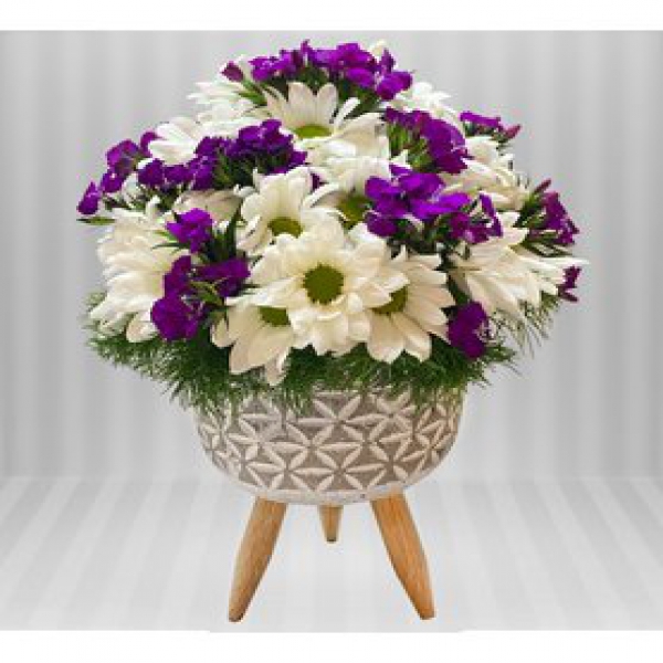  Antalya Çiçekçi  3 Ayaklı Saklı Beyaz Papatya ve Hüsnü Yusuf Çiçekleri
