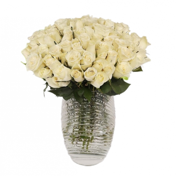  Antalya Çiçekçi  Palmiye Vazo 100 Beyaz Gül Çiçek Aranjmanı - PINARBAŞI