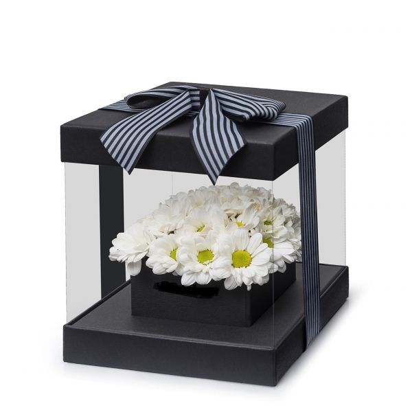  Antalya Çiçekçi  PVC siyah Kare Kutu Beyaz Papatya Çiçek Aranjmanı - AYANOĞLU