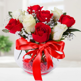 Antalya Çiçek Siparişi  Paşabahçe Akvaryum Cam Fanus 5 Kırmızı 4 Beyaz Güller - HADRİAN