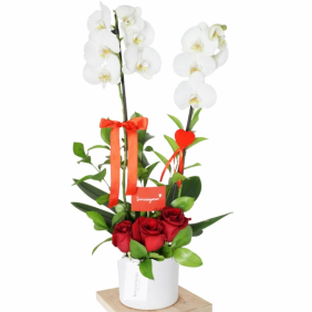  Manavgat Çiçek Siparişi Seramik Vazo Beyaz 2 Dallı Orkide ve Kırmızı Güller Çiçek Aranjmanı - GAZİPAŞA
