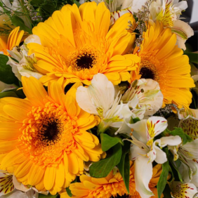  Muratpaşa Çiçek Siparişi  Beyaz Astomelya Sarı Gerbera Çiçek Buketi - MURATPAŞA