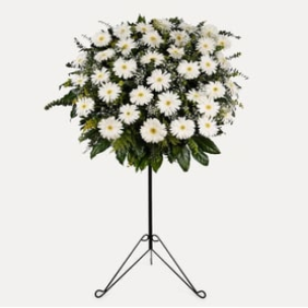  Manavgat Çiçek Siparişi Beyaz Gerbera Ferforje Aranjmanı