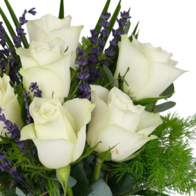 Antalya Çiçek Siparişi  Gri Vazo Beyaz Beyaz Güller Çiçek Aranjmanı - MOLLAYUSUF