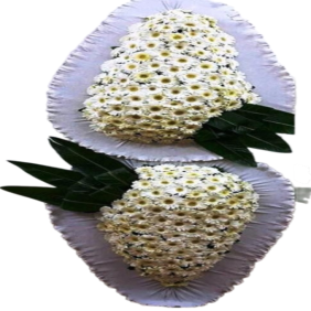  Muratpaşa Çiçek Siparişi  My Antalya Double Çift Katlı Beyaz Gerbera Çelenk - ANTALYA