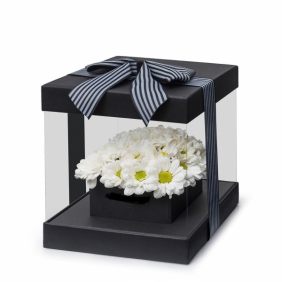  Antalya Çiçekçi  PVC siyah Kare Kutu Beyaz Papatya Çiçek Aranjmanı - AYANOĞLU