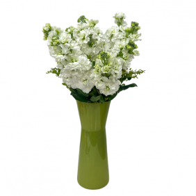  Antalya Çiçekçi  Yeşil Cam Vazo Beyaz Kokulu Şebboy Çiçekleri - ARAPSUYU