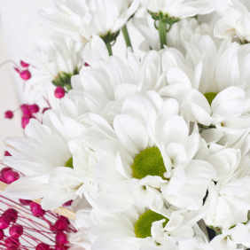  Konyaaltı Çiçek Siparişi Paşabahçe Vazo Beyaz Papatyalar Çiçek Aranjmanı - DÜDEN