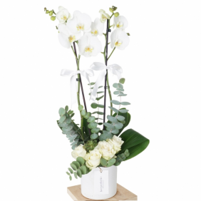  Konyaaltı Çiçek Siparişi Seramik Vazo Beyaz 2 Dallı Orkide ve Beyaz Güller Çiçek Aranjmanı - HADRİAN