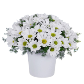  Konyaaltı Çiçek Siparişi Seramik Vazo Beyaz Papatya Çiçek Aranjmanı - GÜZELBA