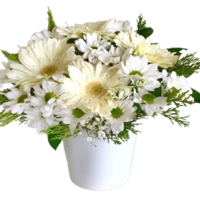  Manavgat Çiçek Siparişi Seramik Vazo Beyaz Papatya ve Beyaz Gerbera Çiçek Aranjmanı - IŞIKLAR