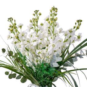  Muratpaşa Çiçek Siparişi  Paşabahçe Vazo Beyaz Kokulu Şebboy Çiçekleri - HURMA