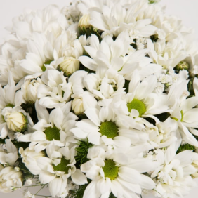  Konyaaltı Çiçek Siparişi Seramik Vazo Beyaz Papatya Çiçek Aranjmanı - GÜZELBA