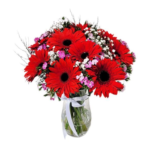  Muratpaşa Çiçek Siparişi  Paşabahçe Vazo Kırmızı Gerbera ve Hüsnü Yusuf Çiçekleri - PINARBAŞI