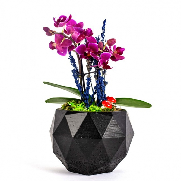 Konyaaltı Çiçek Siparişi Dekoratif Vazo Mini Orkide
