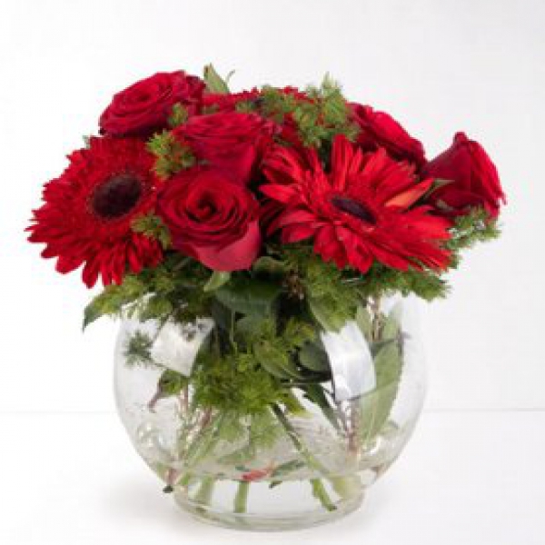  Konyaaltı Çiçek Siparişi Akvaryum Vazo Kırmızı Güller ve Gerberalar