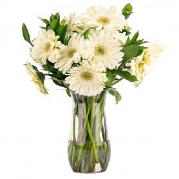  Konyaaltı Çiçek Siparişi Paşabahçe Vazo Beyaz Gerbera Aranjmanı