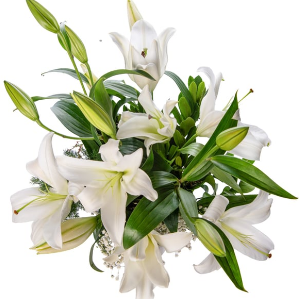  Manavgat Çiçek Siparişi Füme Renk Cam Vazo Beyaz Lilyum  Çiçek Aranjmanı - ARAPSUYU