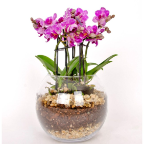 product-nav-img