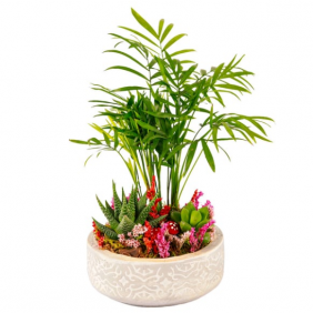 product-nav-img