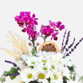  Antalya Çiçekçi  Beton Eskitme Saksı Mini Mor Orkide ve Beyaz Papatyalar - KUNDU