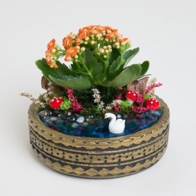  Antalya Çiçekçi  Eskitme Altın Saksı Turuncu Kalanchoe Terraryum