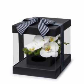  Manavgat Çiçek Siparişi PVC siyah Kare Kutu Beyaz Orkide Çiçek Aranjmanı - AYANOĞLU
