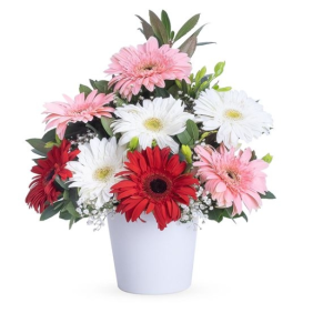  Manavgat Çiçek Siparişi Renkli Gerbera Çiçek Aranjmanı