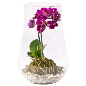 product-nav-img