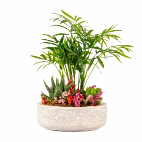 product-nav-img