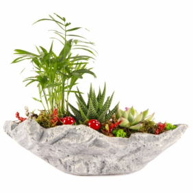 product-nav-img
