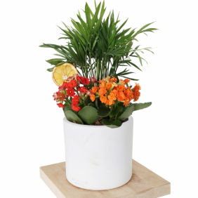 product-nav-img