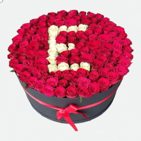 product-nav-img