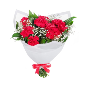 Antalya Çiçek Siparişi  10 Adet Kırmızı Karanfil Çiçek Buketi - PINARBAŞI