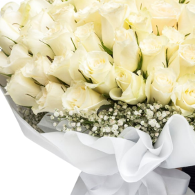 Antalya Çiçek Siparişi  100 Adet Beyaz Gül Çiçek Buketi - HADRİAN
