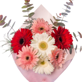  Manavgat Çiçek Siparişi Renkli Gerberalar Çiçek Buketi - AKDENİZ