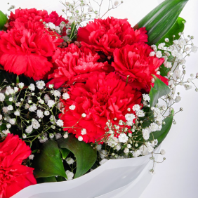 Antalya Çiçek Siparişi  10 Adet Kırmızı Karanfil Çiçek Buketi - PINARBAŞI