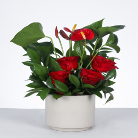 product-nav-img
