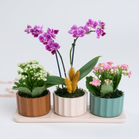 product-nav-img